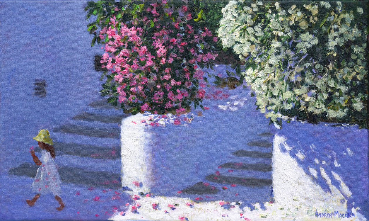 Bugenwilla, Anandas, Milos, Wyspy Greckie, 2017, autorstwa Andrew Macara