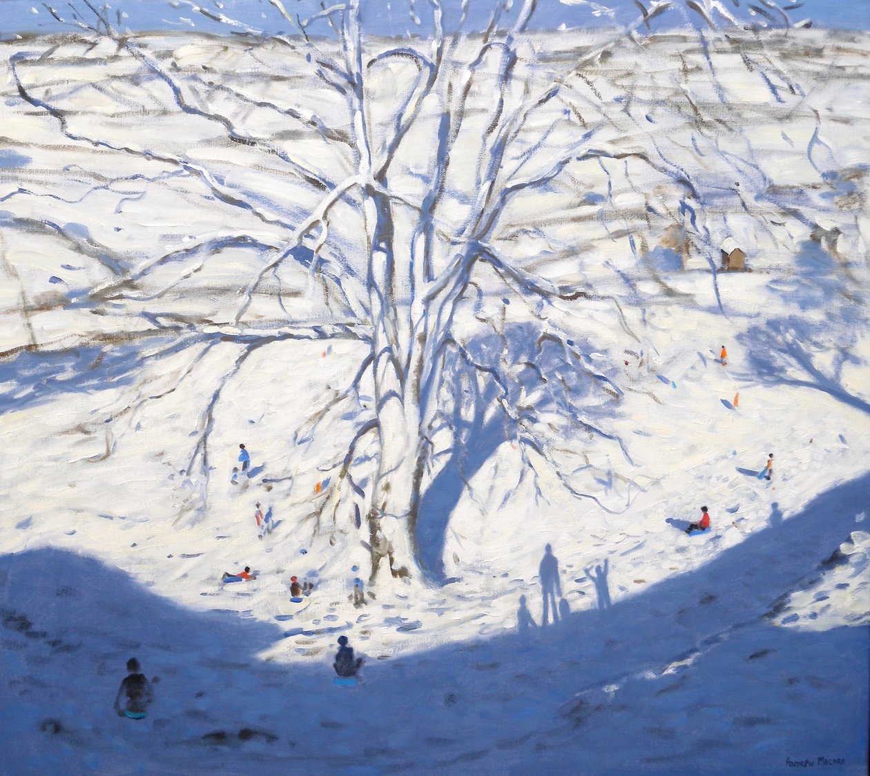 Hillside, Elton niedaleko Rowsley, 2008 autorstwa Andrew Macara