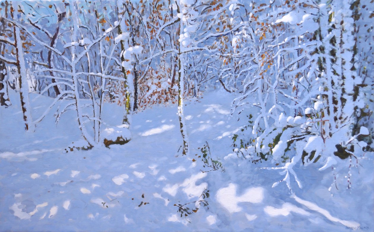 November Snow, Allestree Woods, Derby (olej na płótnie) autorstwa Andrew Macara