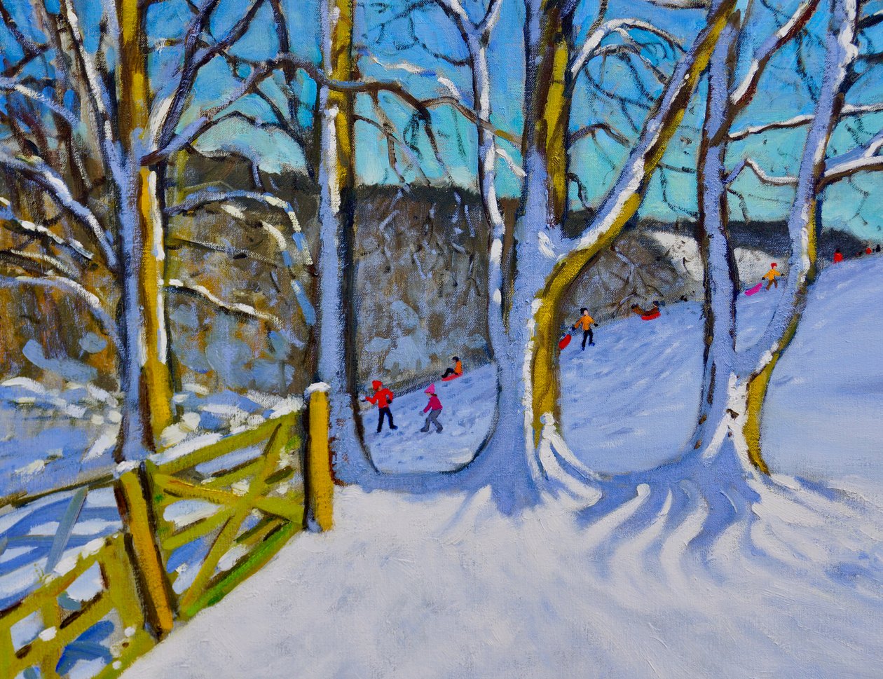 Jazda na sankach, Dam Lane, Derbyshire, 2017, autorstwa Andrew Macara