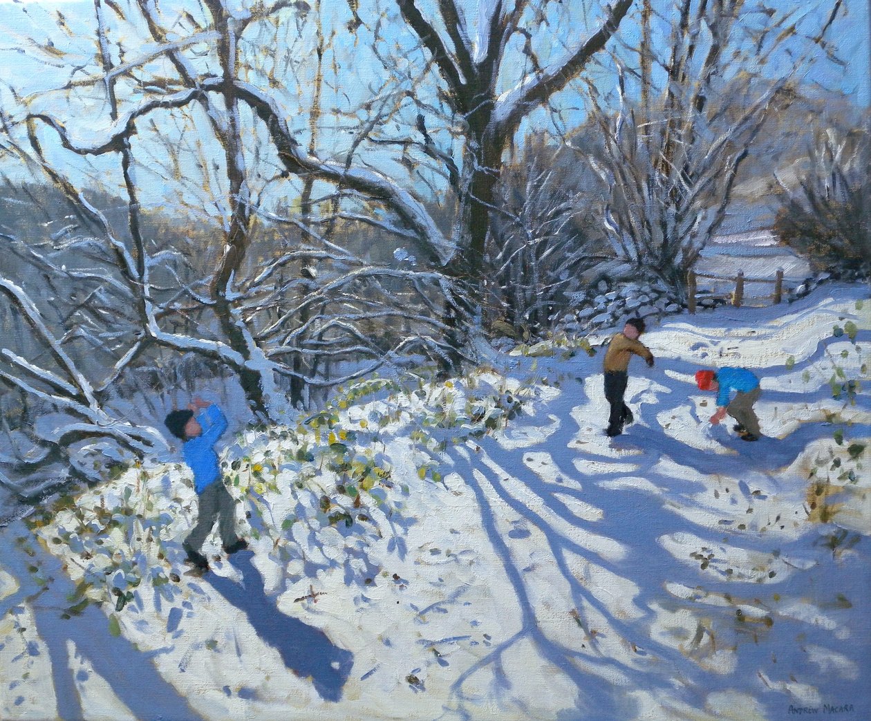 Walka na śnieżki, 2007 autorstwa Andrew Macara