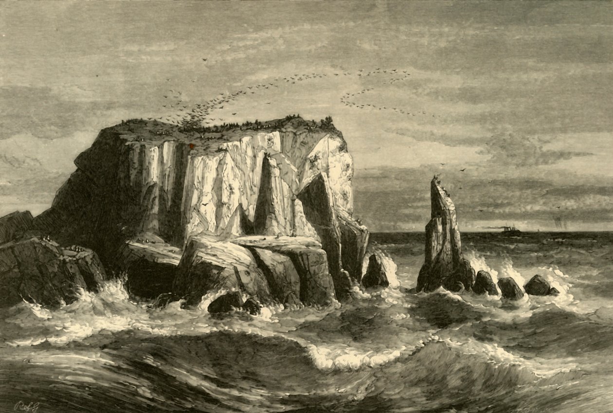 „Scena na wybrzeżu, hrabstwo Marin”, 1872. autorstwa Andrew Varick Stout Anthony