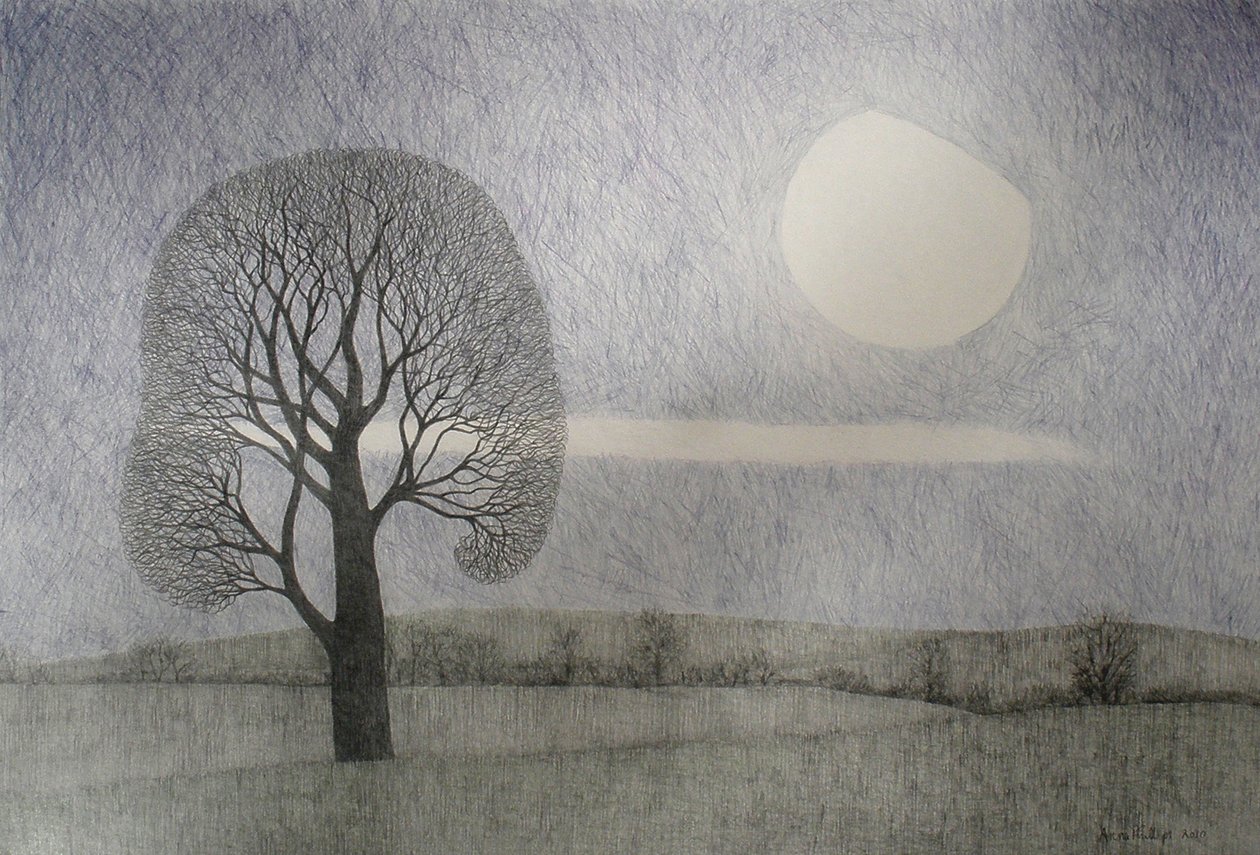 Lutowy Księżyc, 2010 (kolorowy ołówek na papierze) autorstwa Anna Phillips