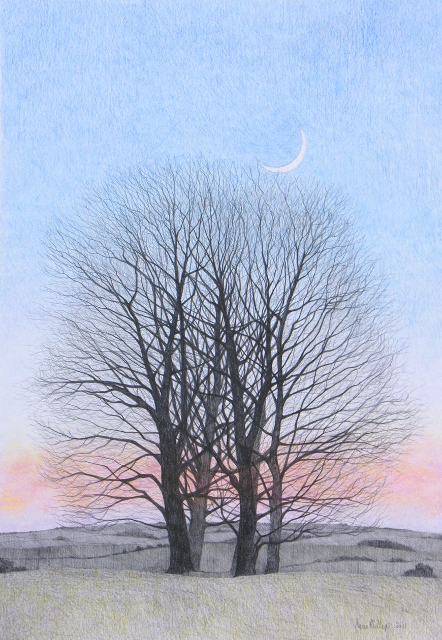 Księżyc w nowiu, 2011 (kolorowa kredka na papierze) autorstwa Anna Phillips