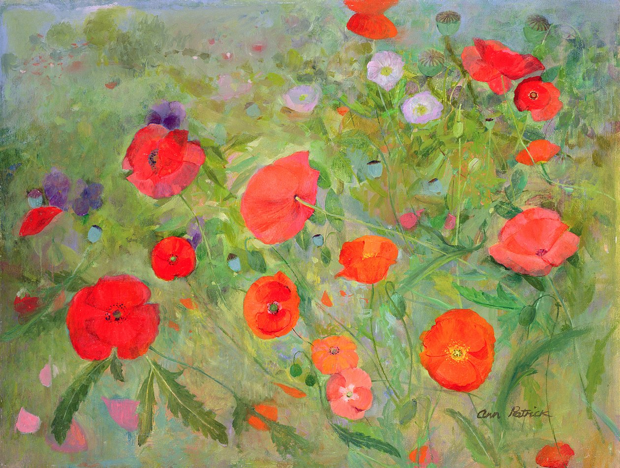 Arpeggiando, 1998 autorstwa Ann Patrick