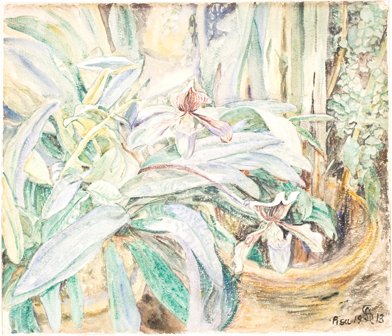 Orchidee, Ogród Botaniczny, Piza autorstwa Anna Syberg