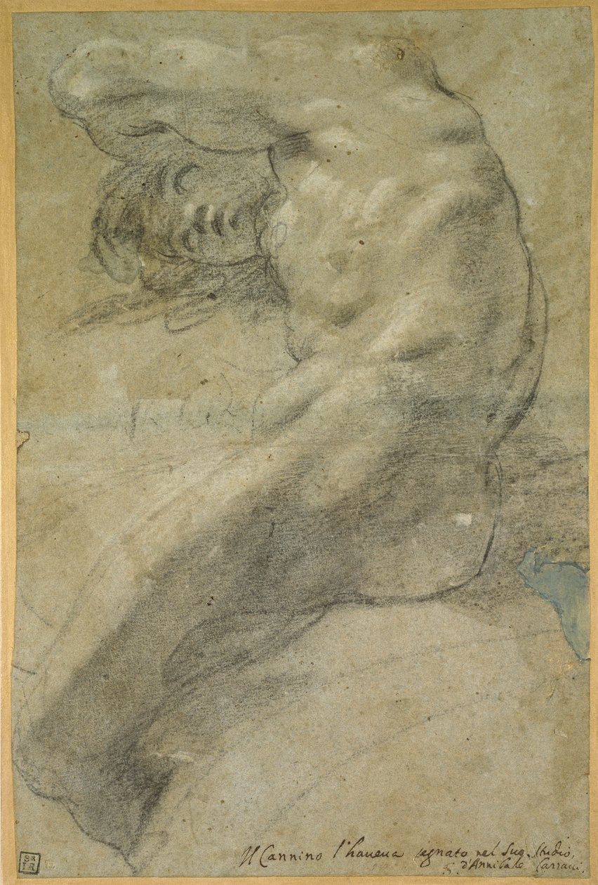 Studium nagiego mężczyzny autorstwa Annibale Carracci