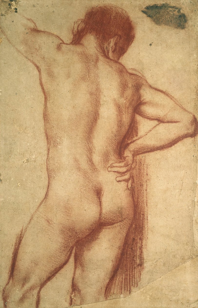 Studium nagiego mężczyzny autorstwa Annibale Carracci