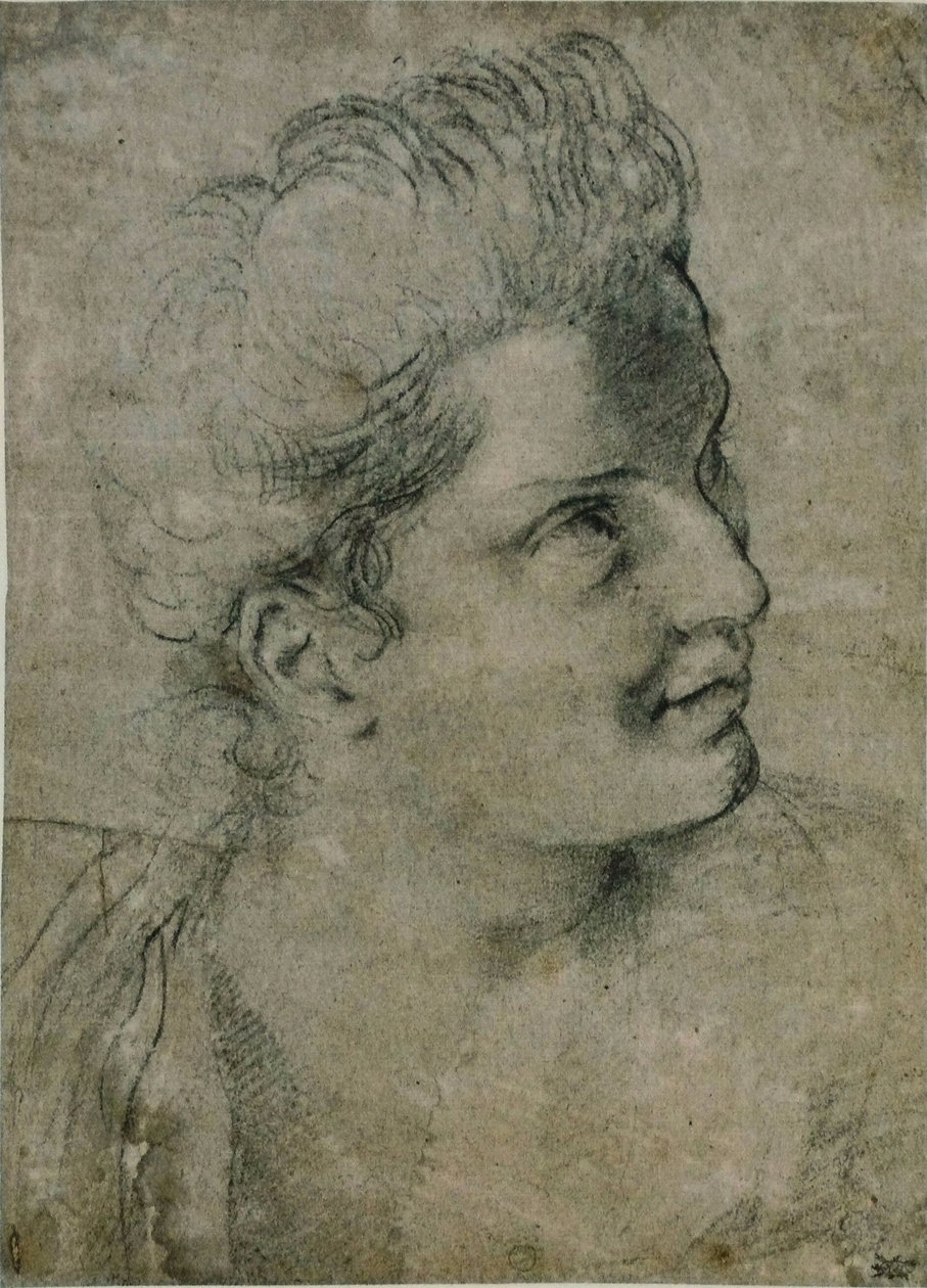 Głowa kobiety autorstwa Annibale Carracci