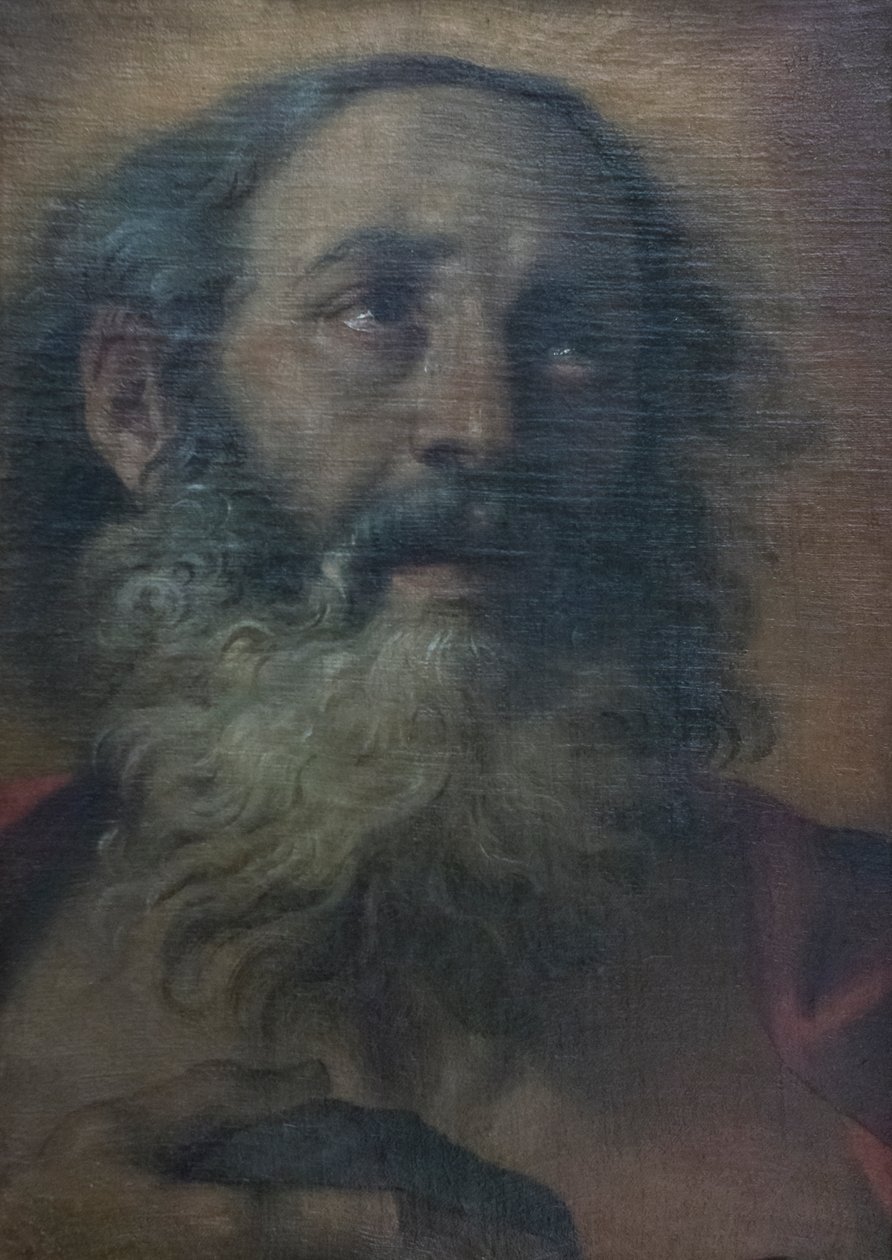 Św. Hieronim autorstwa Annibale Carracci