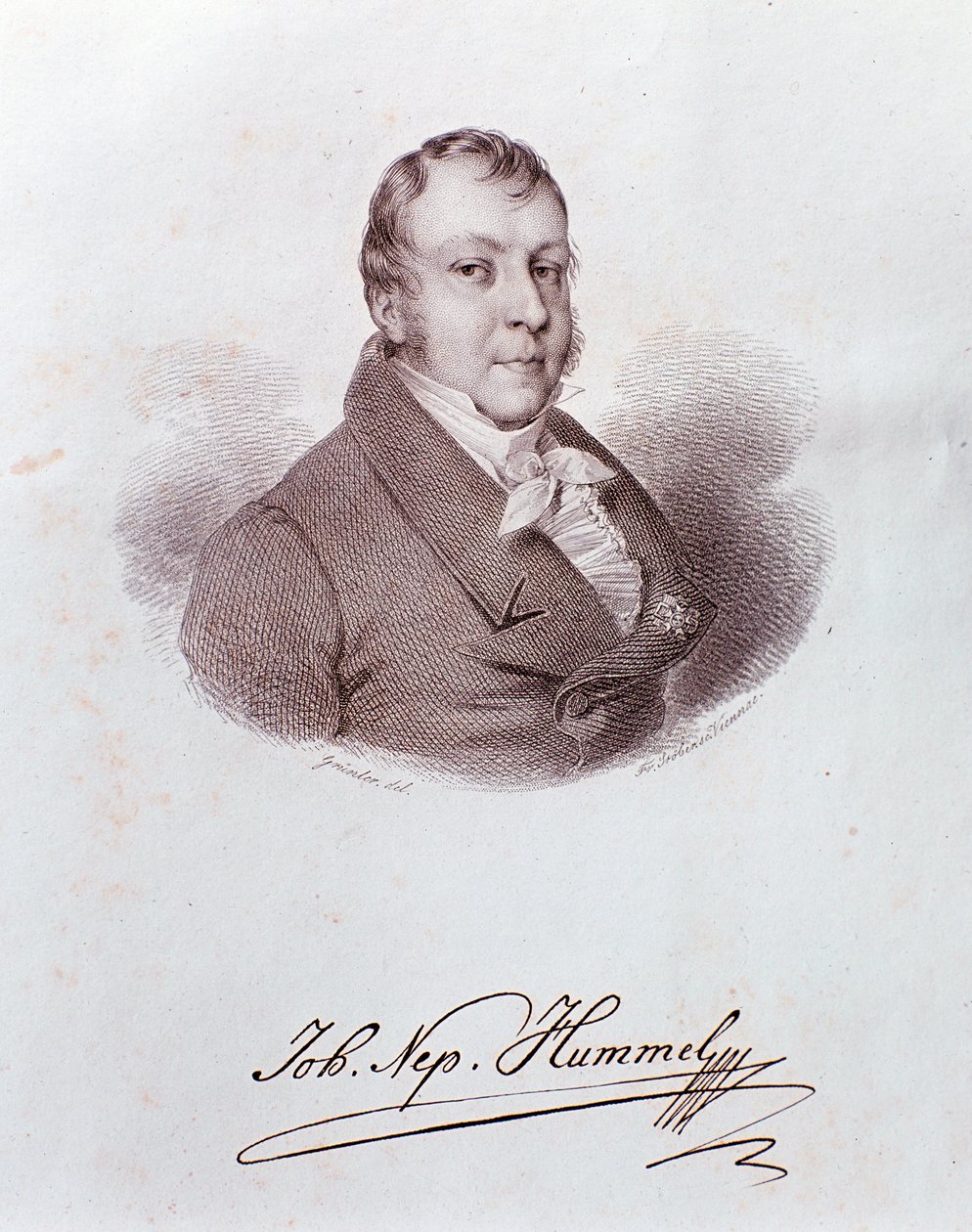 Portret Johanna Nepomuka Hummla (rycina autorstwa Anonymous Anonymous