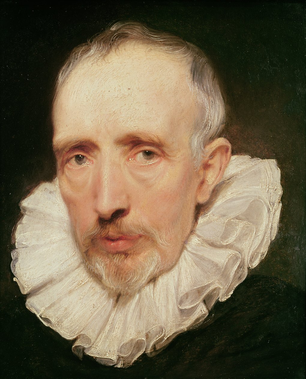Portret Cornelisa van der Geest, ok. 1620 (olej na dębie) autorstwa Anthony van Dyck