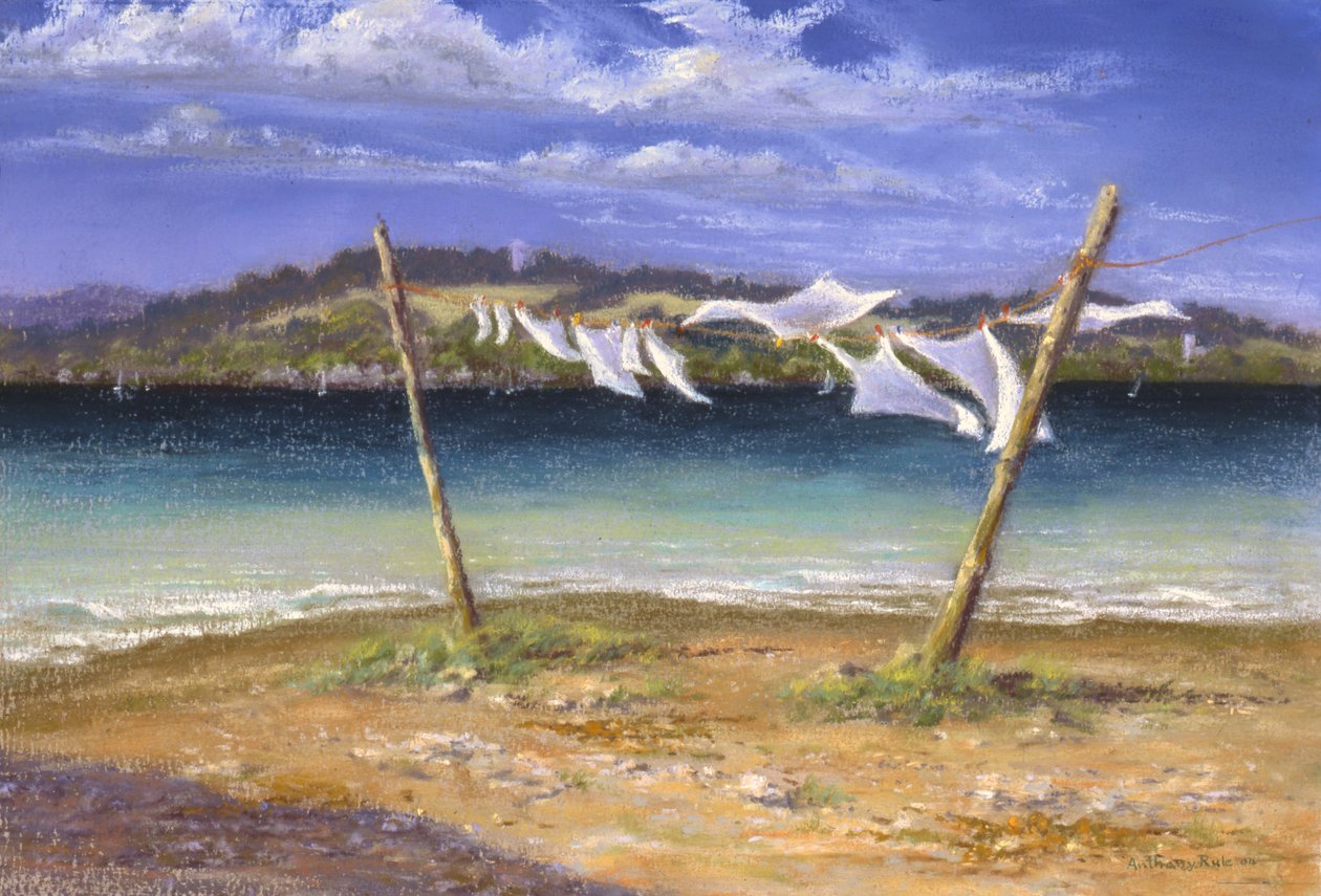 Suszenie białych, 2004 autorstwa Anthony Rule