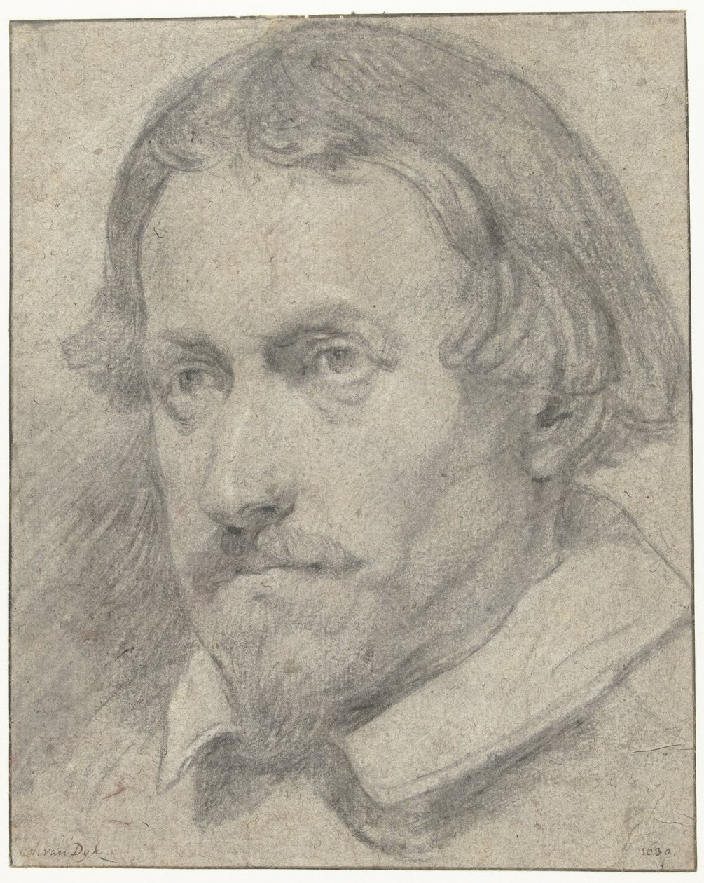 Manskop autorstwa Anthony van Dyck (possibly)