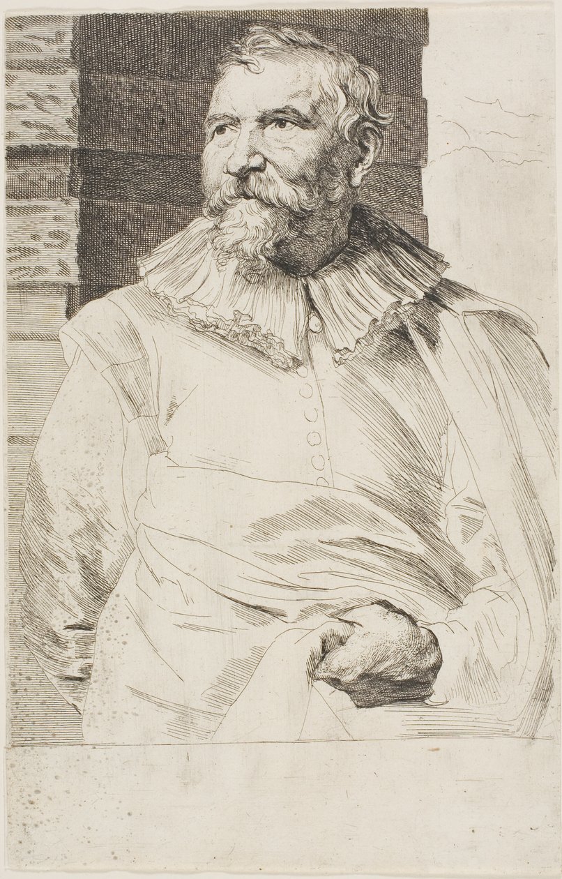 Adam van Noort autorstwa Anthony van Dyck
