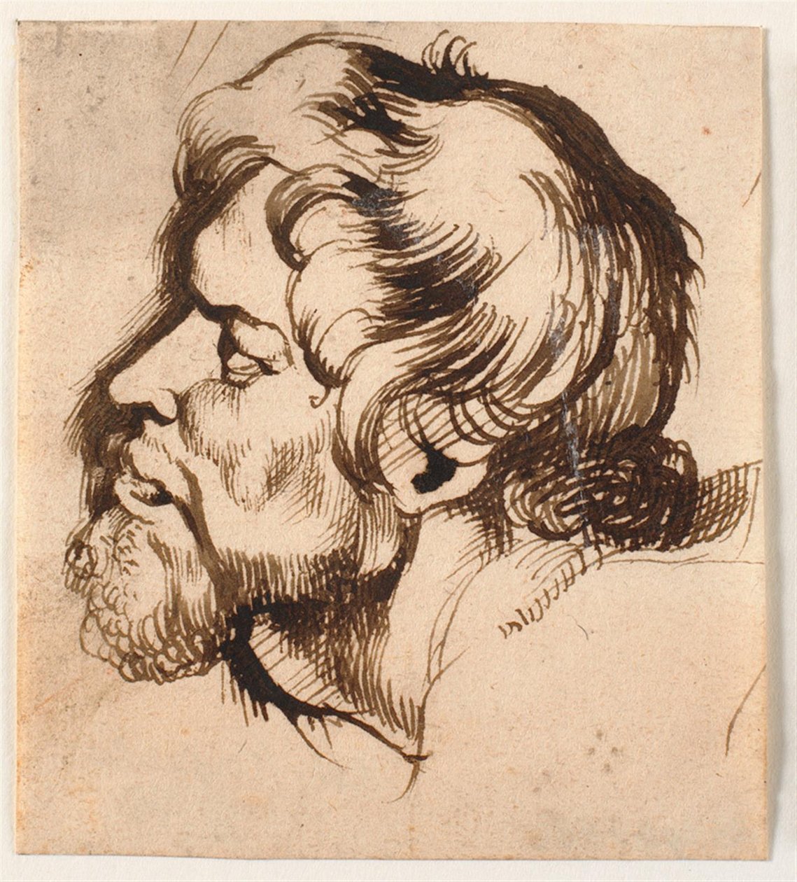 Głowa mężczyzny autorstwa Anthony van Dyck