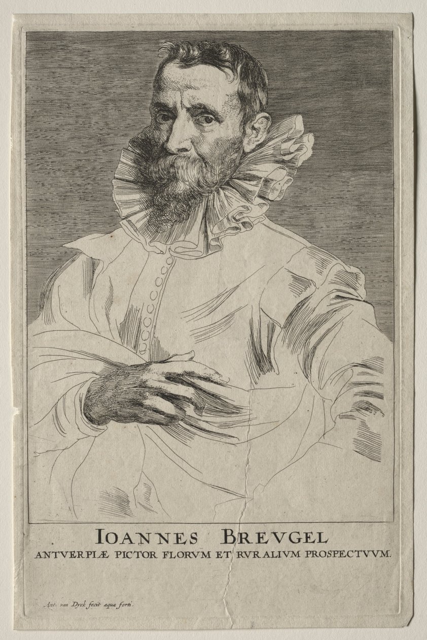 Portret Jana Bruegla. autorstwa Anthony van Dyck