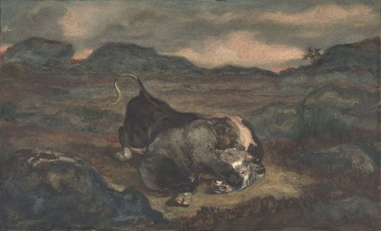 Niedźwiedź zabijający byka, 1810-75. autorstwa Antoine Louis Barye