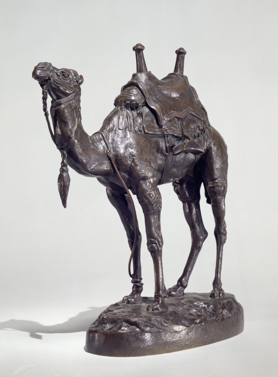 Egipski dromader z uprzężą (brąz) autorstwa Antoine Louis Barye