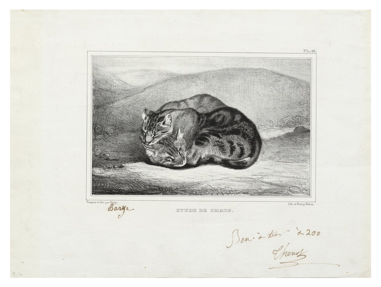 badanie kotów autorstwa Antoine Louis Barye