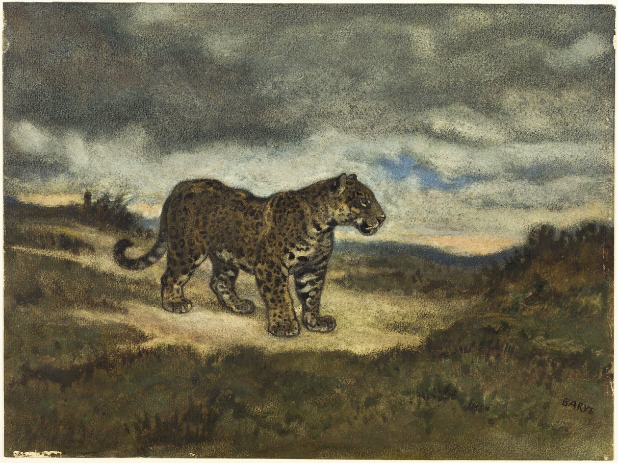 Jaguar stojący autorstwa Antoine Louis Barye