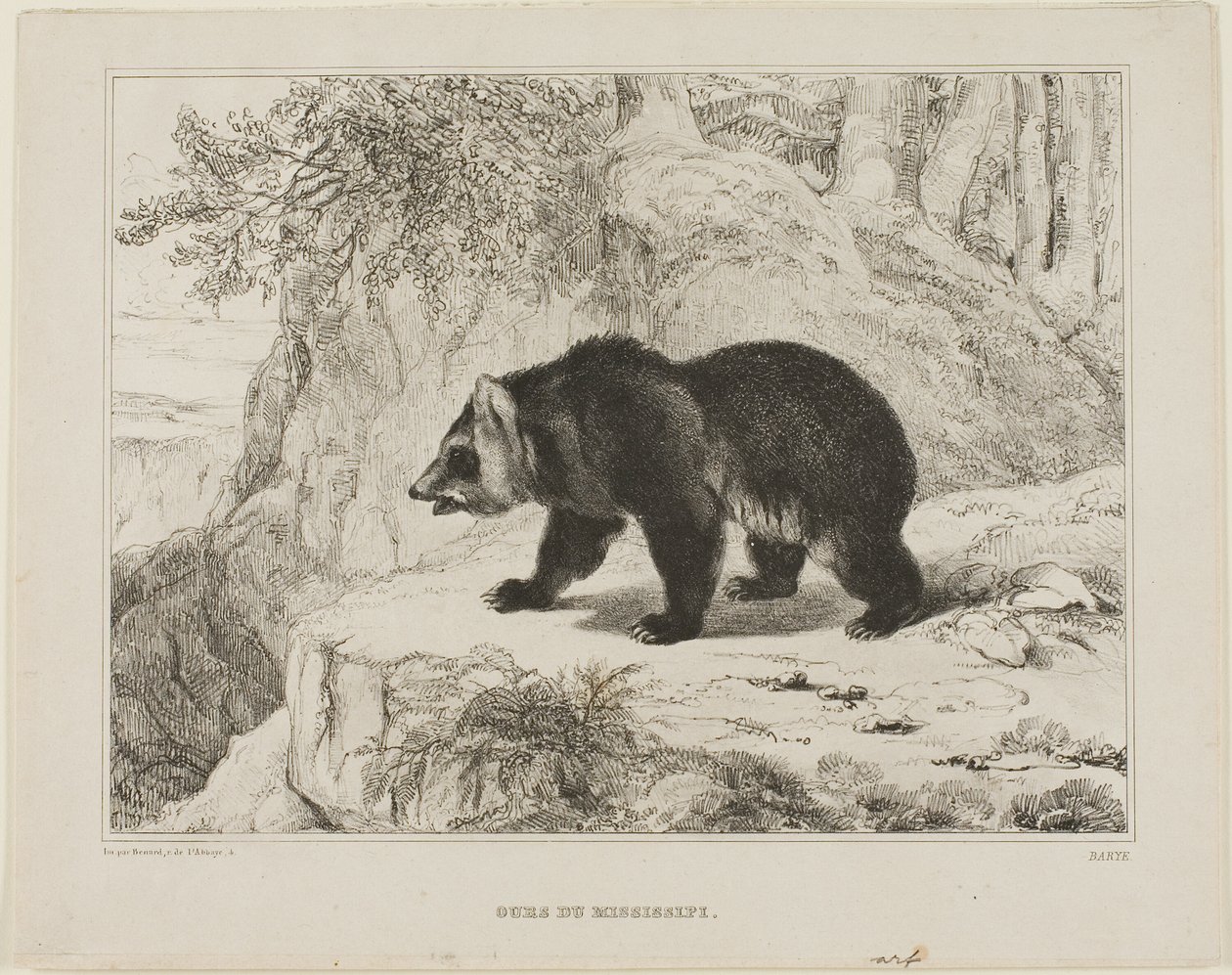 Miś Missisipi autorstwa Antoine Louis Barye