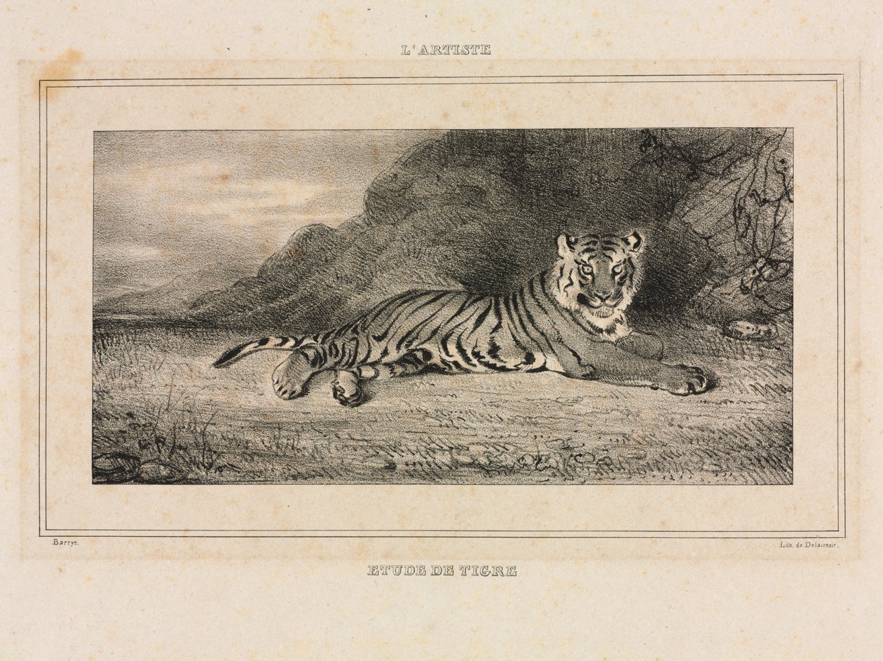 Studium tygrysa autorstwa Antoine Louis Barye