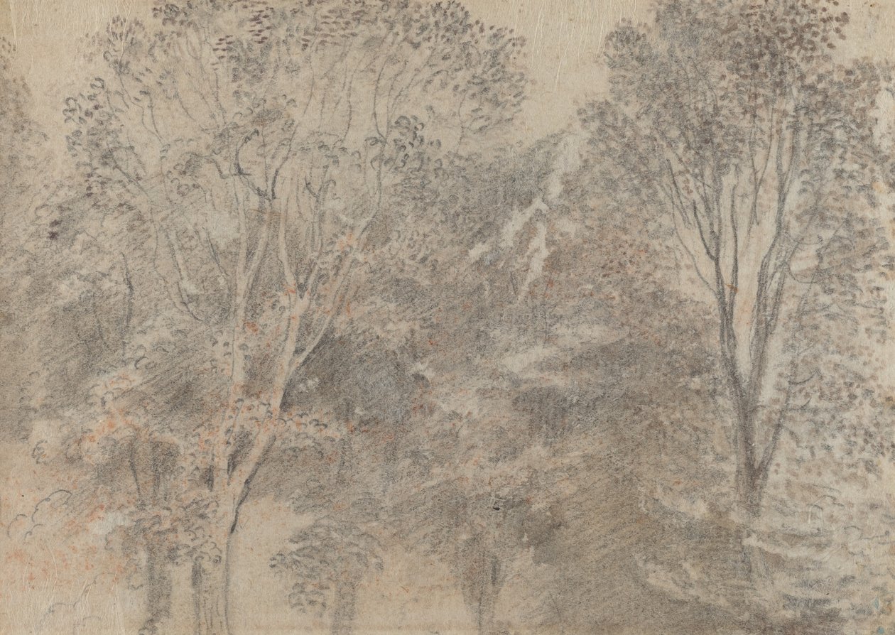 Korony drzew [verso] autorstwa Antoine Watteau