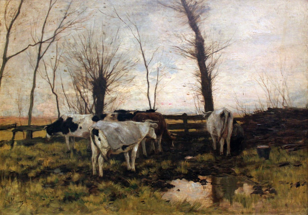 Krowy na pastwisku autorstwa Anton Mauve