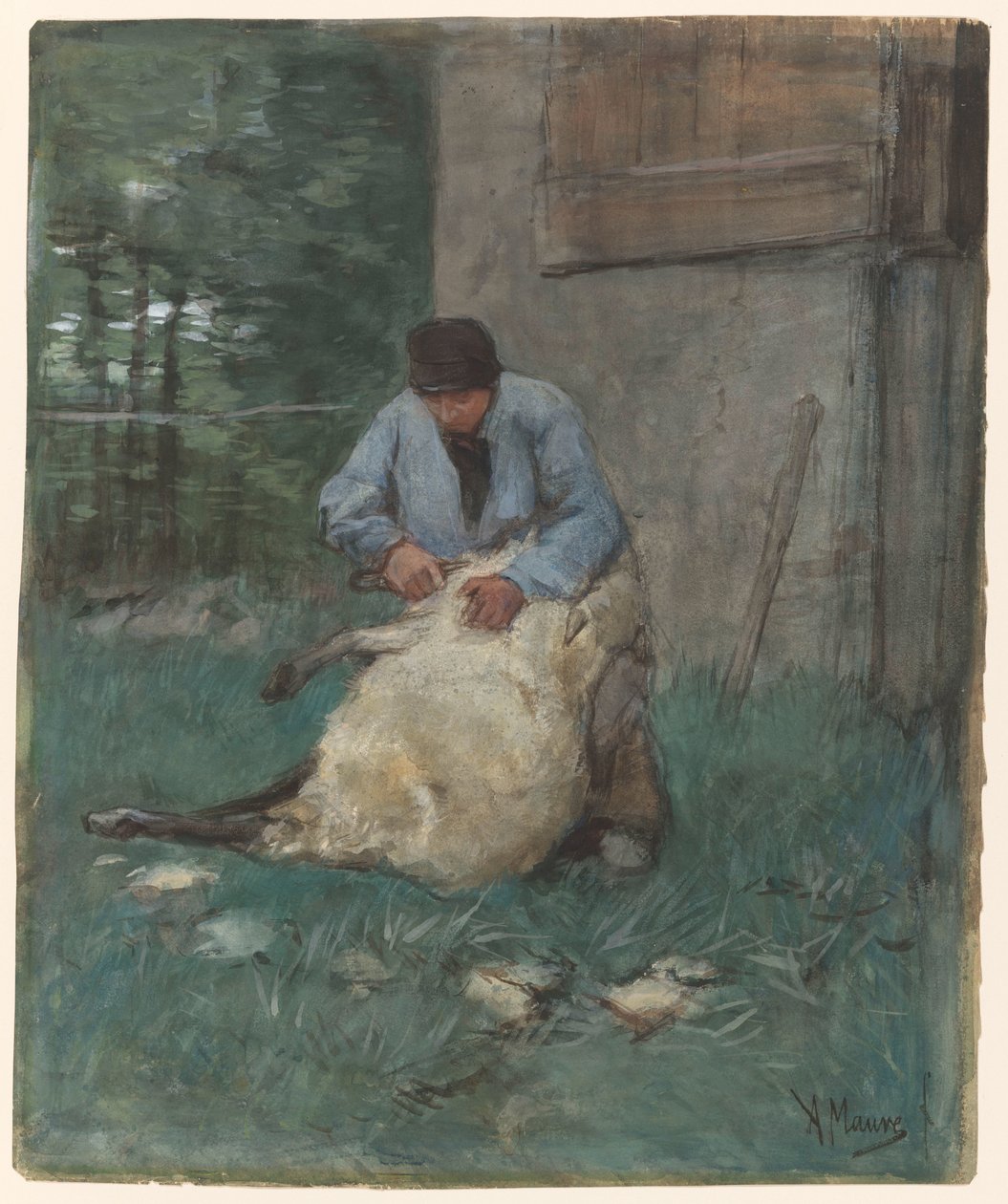 strzyż owiec autorstwa Anton Mauve