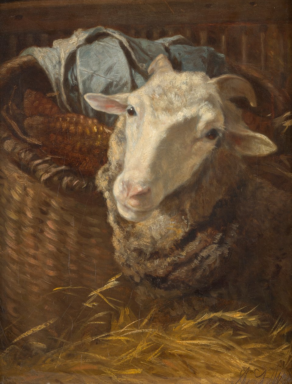 Owca autorstwa Anton Schrodl