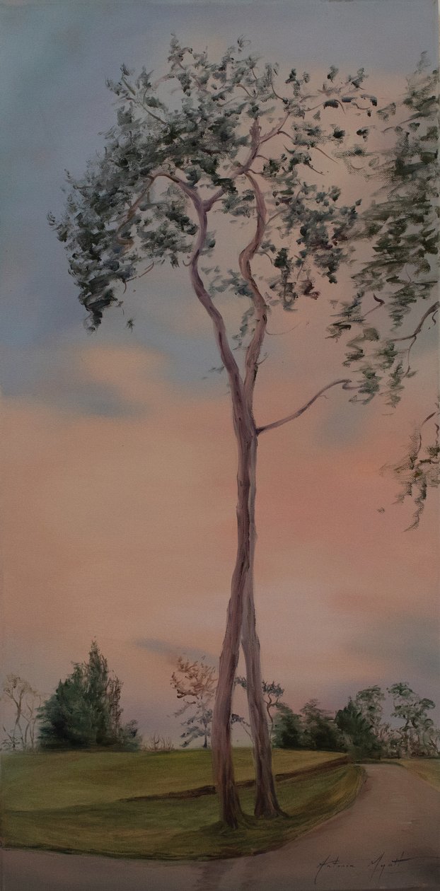 Drzewa w Tapeley Park, 2013 (olej na płótnie) autorstwa Antonia Myatt
