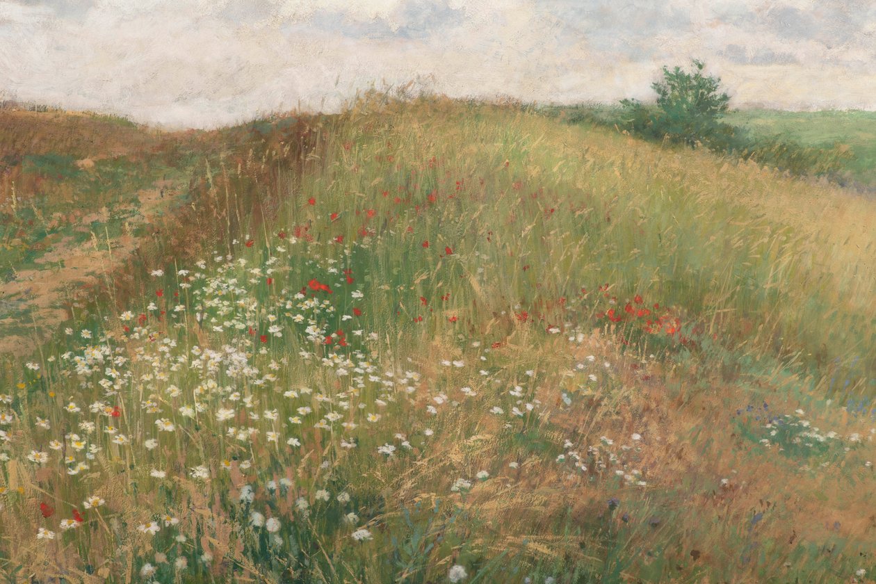 Lato, 1897. autorstwa Antonin Slavicek