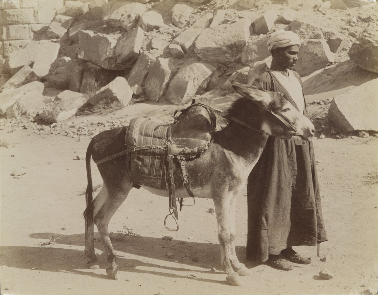 Bourier i Bouriquer, Egipt autorstwa Antonio Beato