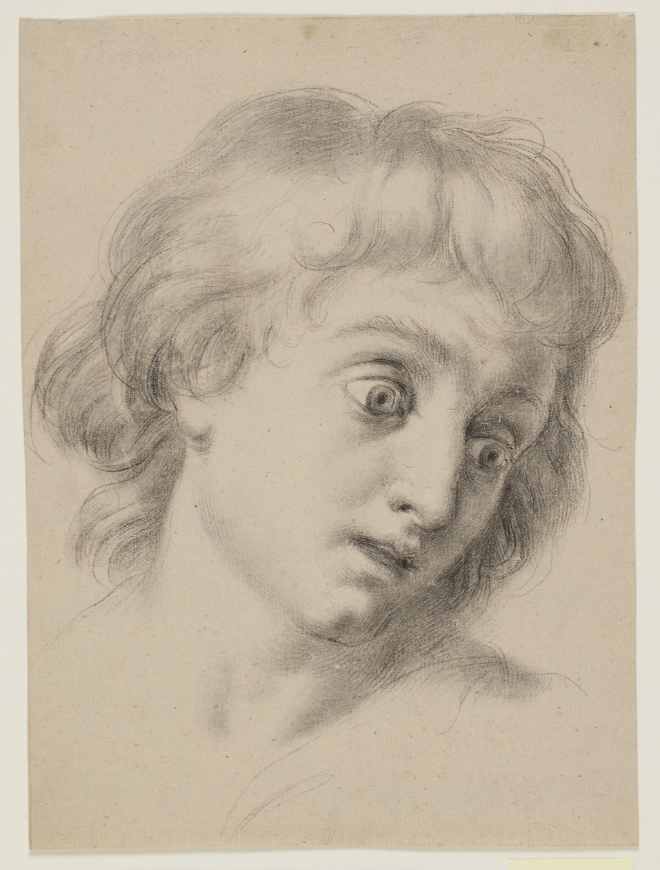Głowa chłopca autorstwa Antonio Cavallucci