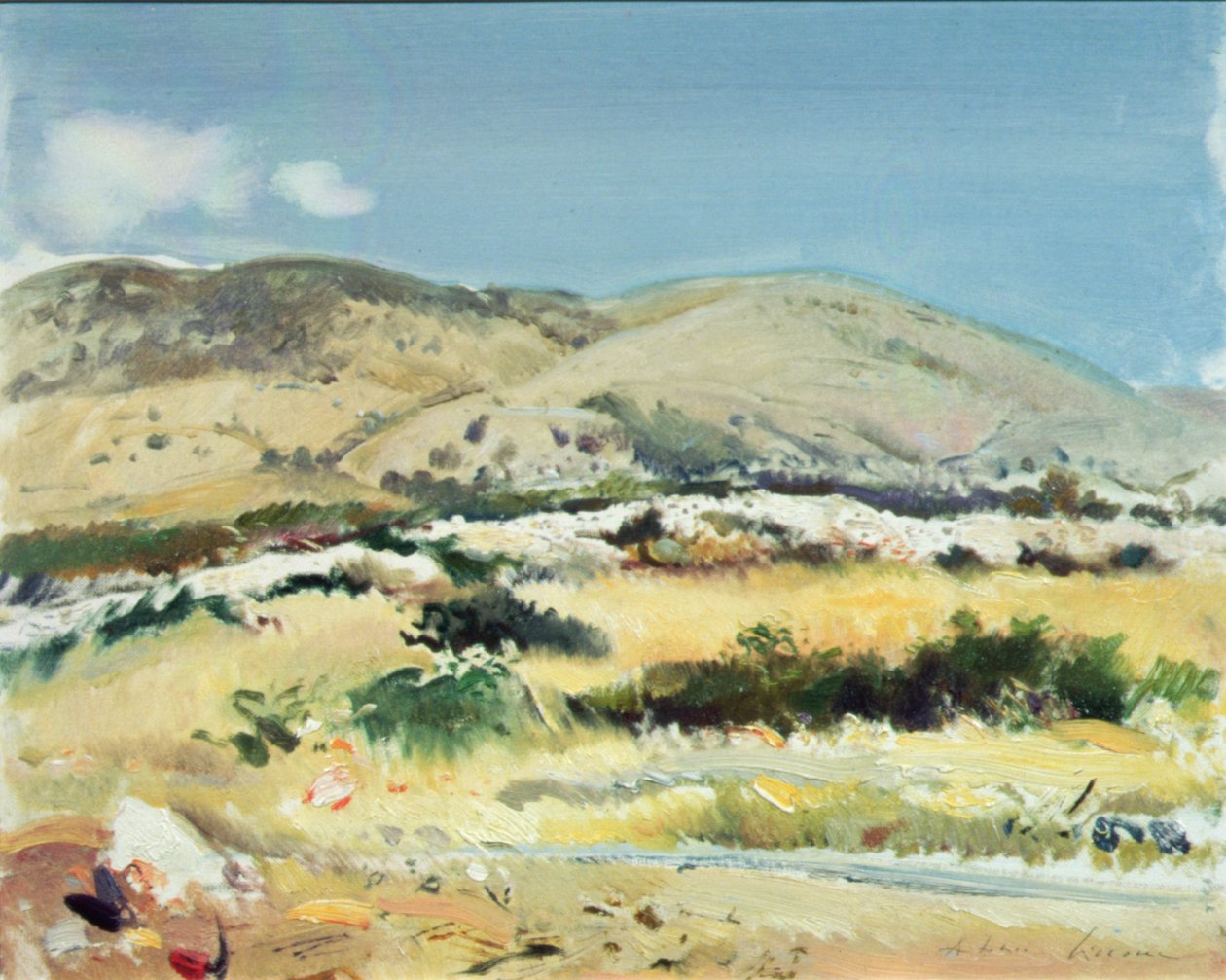 Gargano, 1981 autorstwa Antonio Ciccone