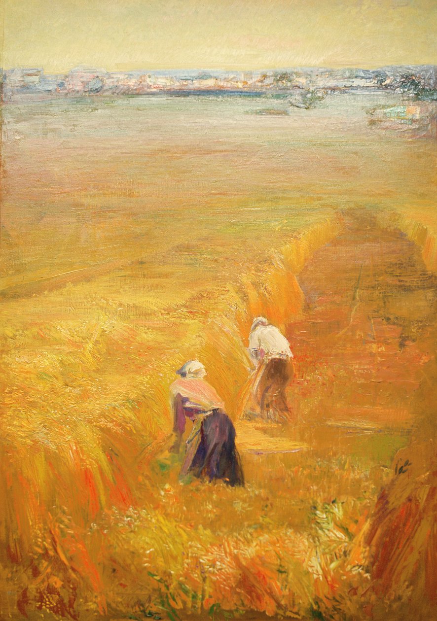 Apulia, 1966 autorstwa Antonio Ciccone