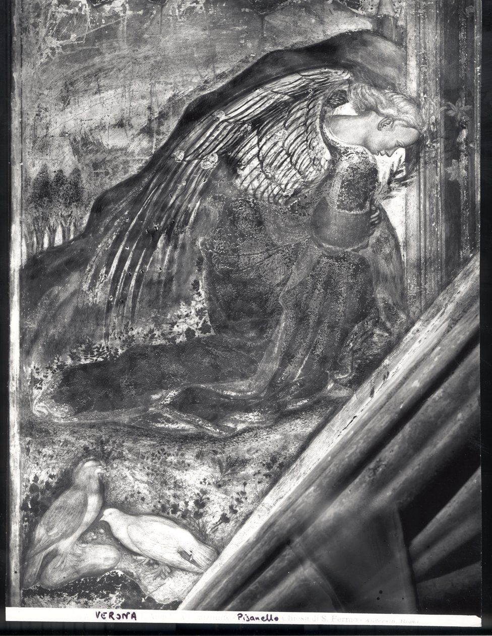 Archanioł Gabriel, fragment Zwiastowania autorstwa Antonio Pisanello