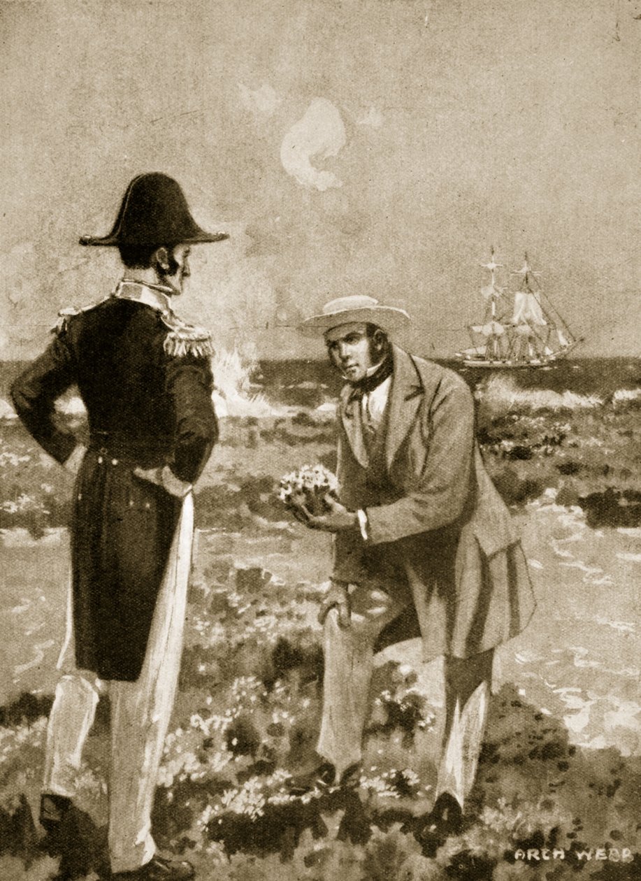 Darwin znajduje ciekawy okaz autorstwa Archibald Webb