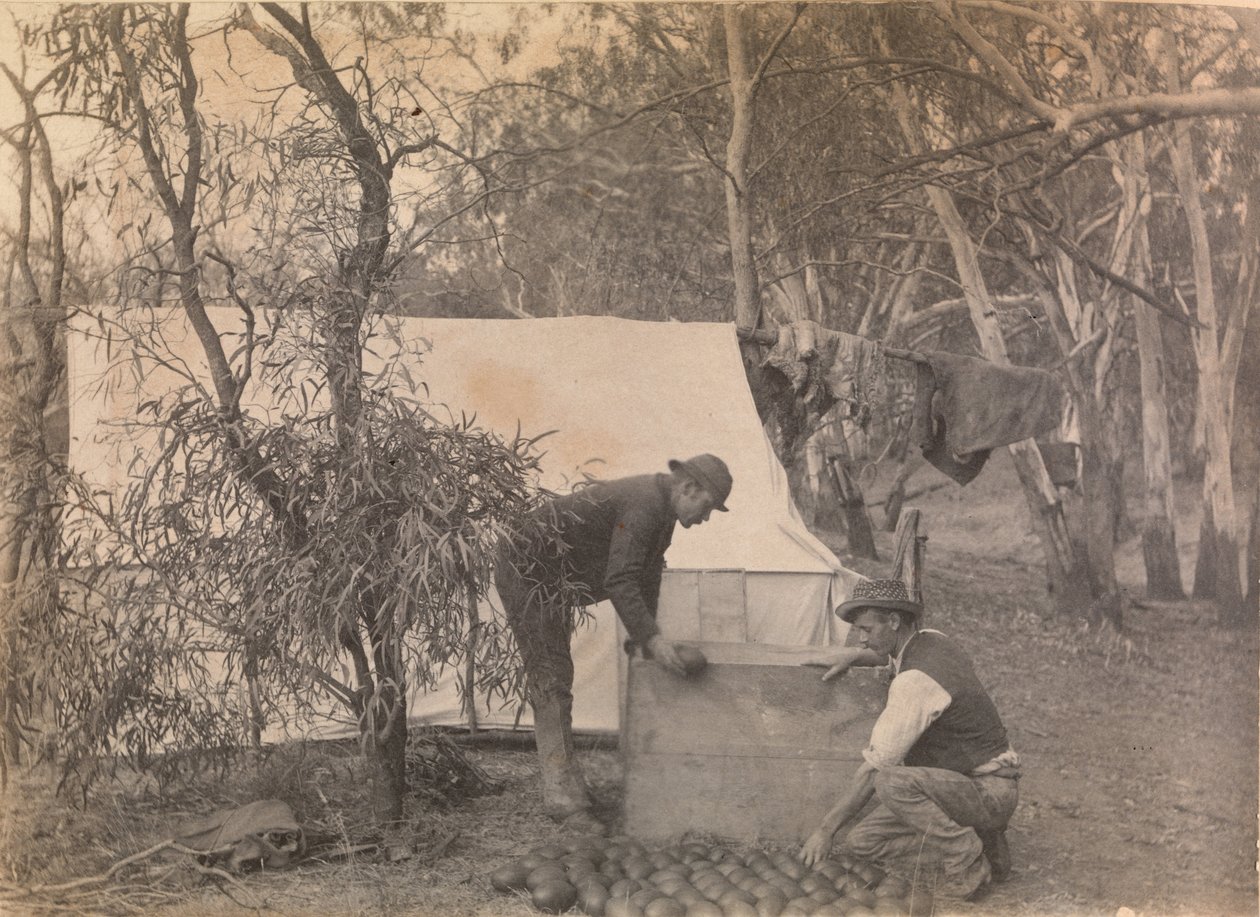 Emu Eggers Camp autorstwa Archibald James Campbell