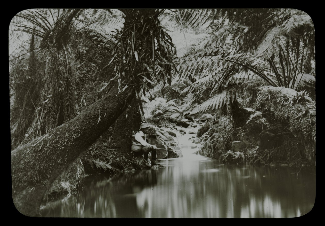 Basen, Sassafras Gully autorstwa Archibald James Campbell