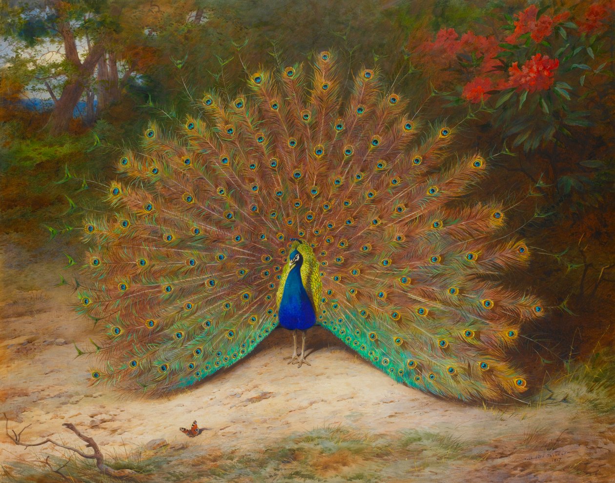 Paw i motyl paw autorstwa Archibald Thorburn
