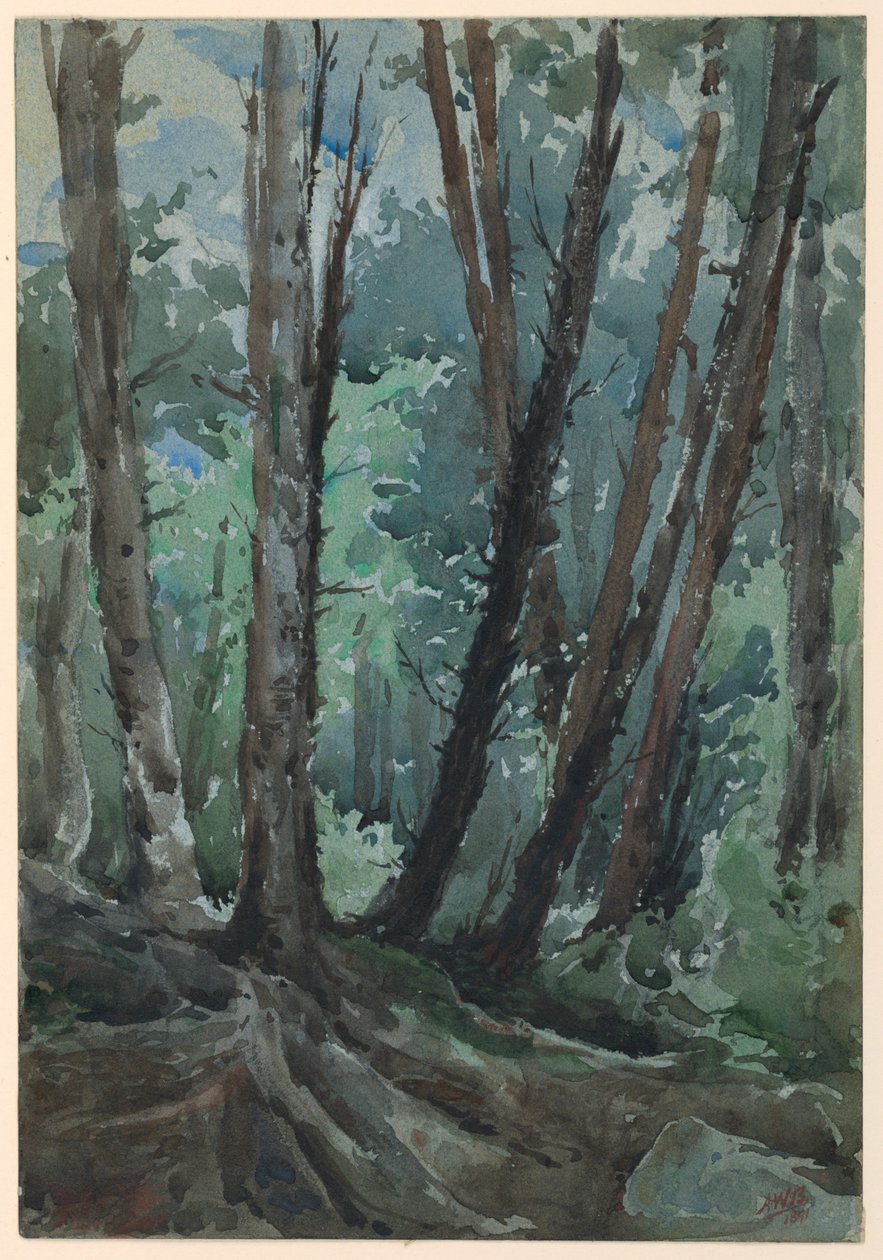 Las autorstwa Arnold William Brunner