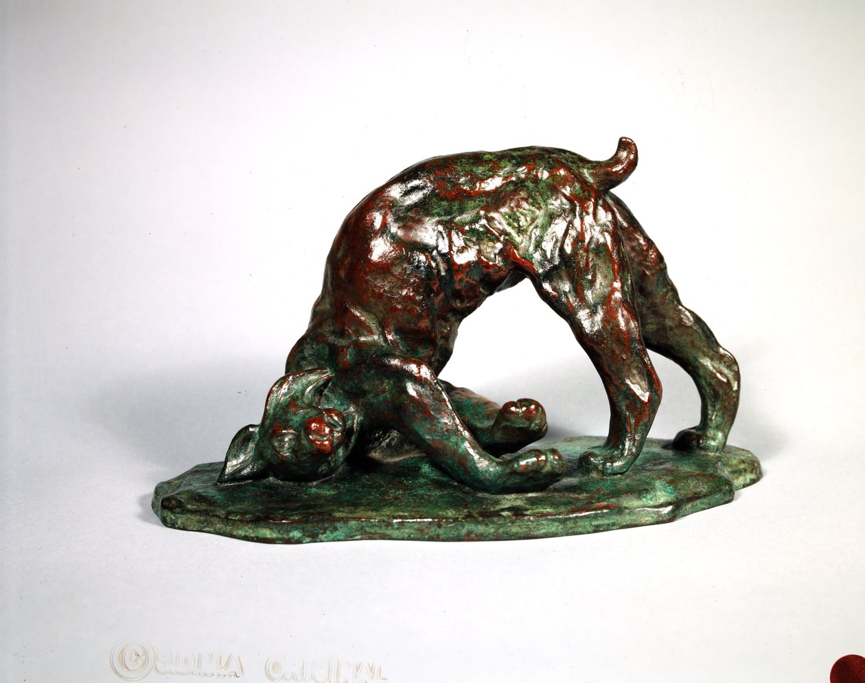 Ryś skunksowany, 1909 (brąz) autorstwa Arthur Putnam