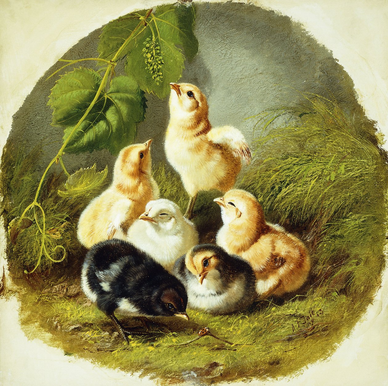 Pisklęta, 1863 autorstwa Arthur Fitzwilliam Tait