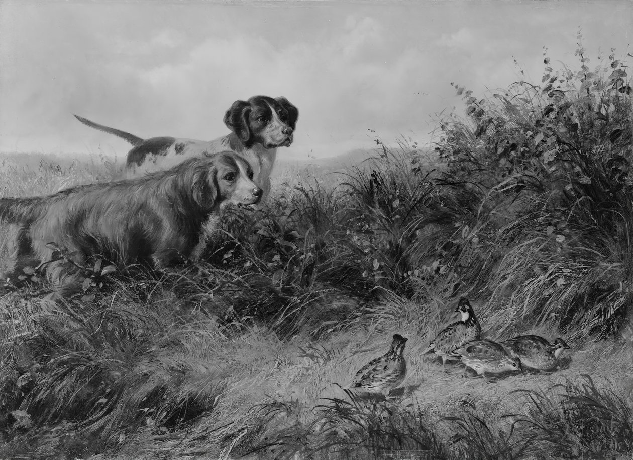 W punkcie, 1874. autorstwa Arthur Fitzwilliam Tait