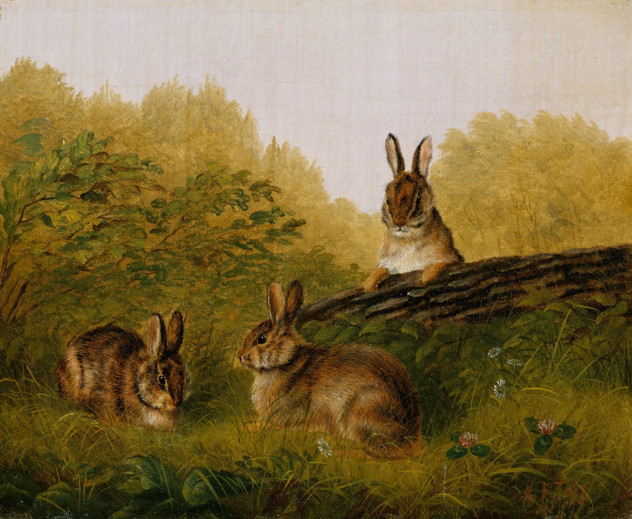 Króliki na kłodzie, 1897. autorstwa Arthur Fitzwilliam Tait
