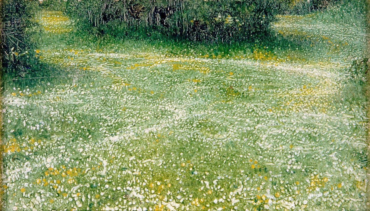 Stokrotki w Burnham, ok. 1918 (olej na płótnie) autorstwa Arthur Hacker