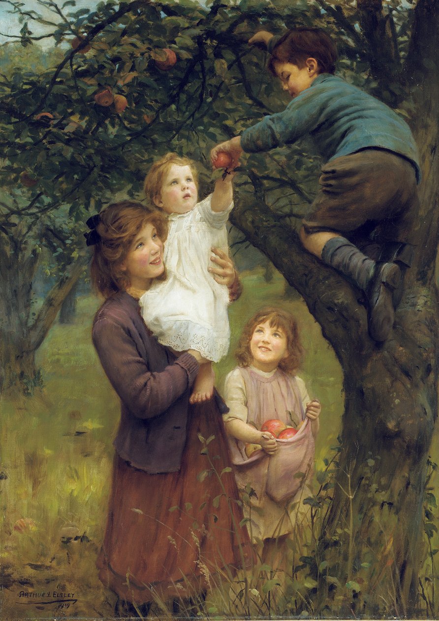 Zrywanie Jabłek autorstwa Arthur John Elsley