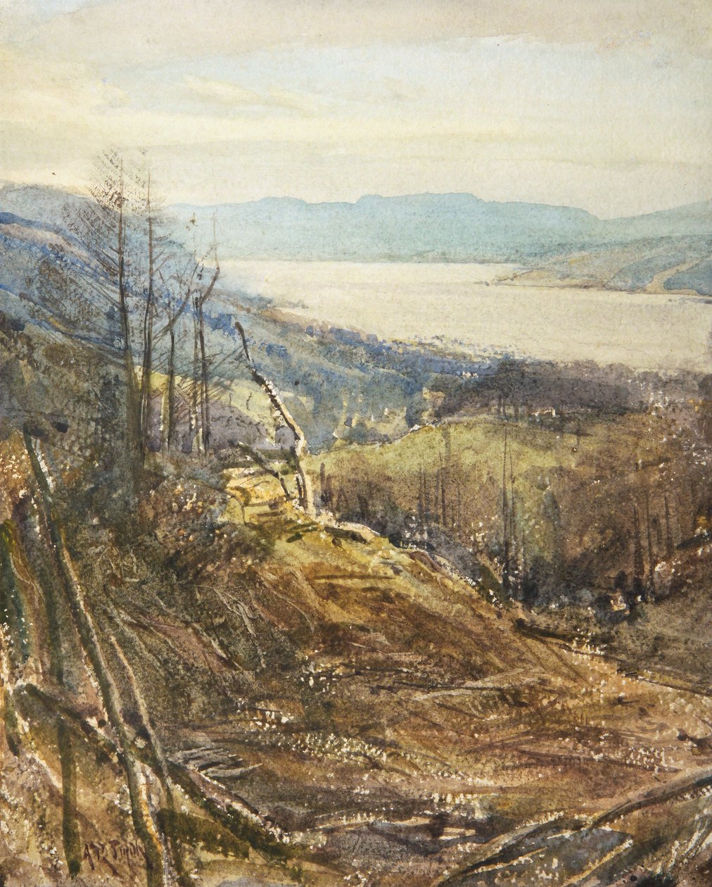 Coniston z okolic Tarn Hows (akwarela) autorstwa Arthur Reginald Smith